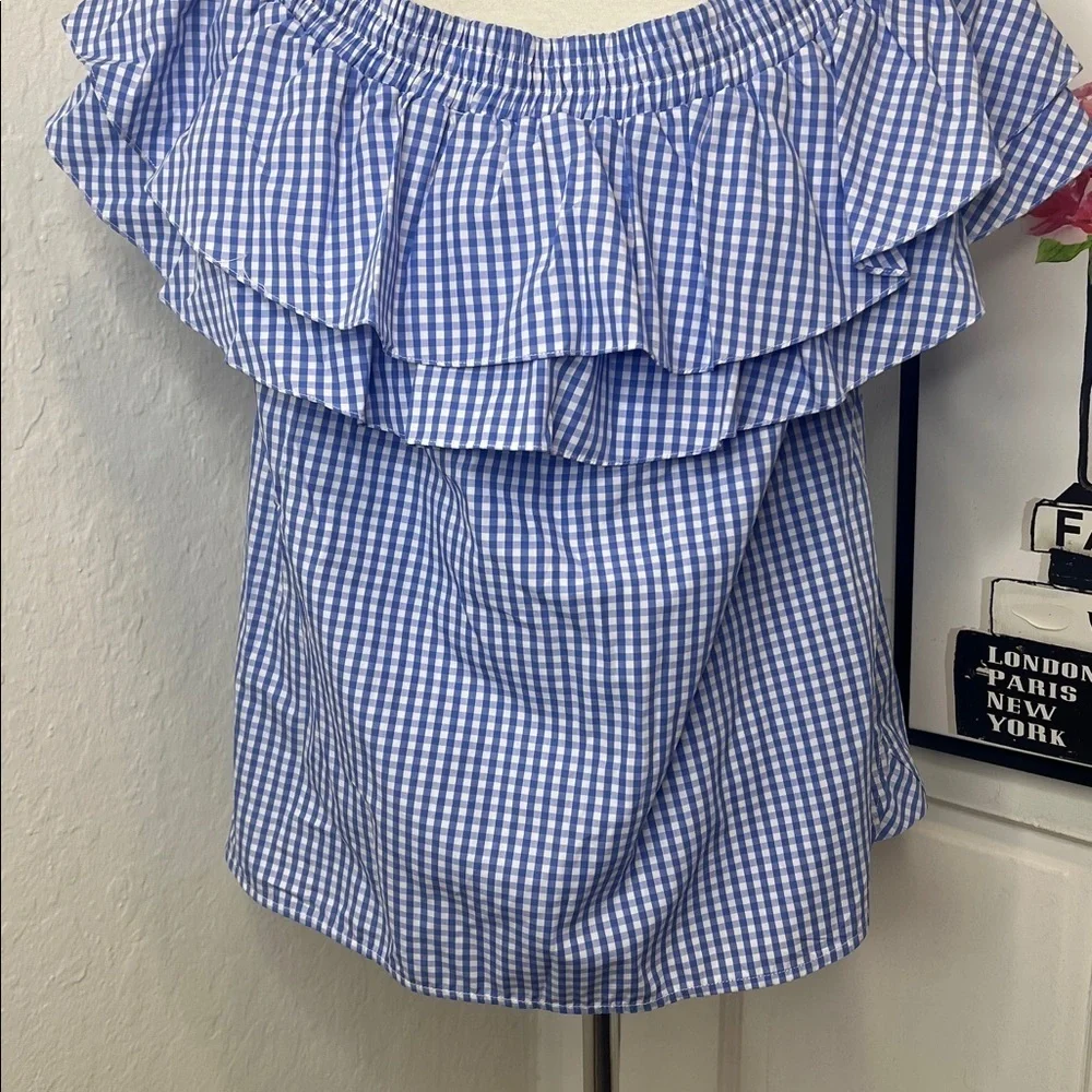 NWT Petersyn Blue & White Gingham Top Size S - Picture 6 of 9